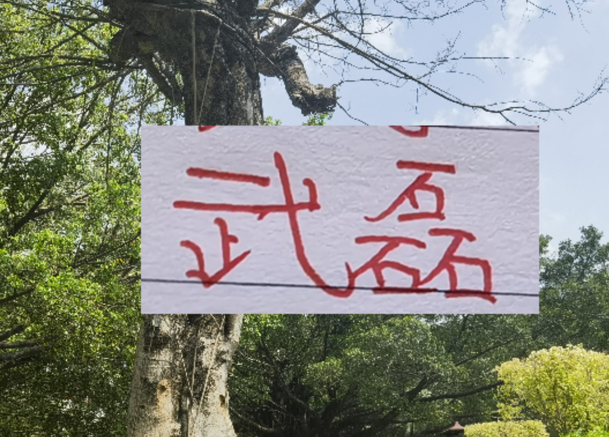 爱体育官网-2月海港就要打亚冠比赛 大概率武磊+莱昂纳多 这些一哥上不了